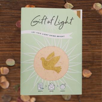 Gift of Light | Duif