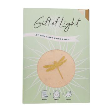 Gift of Light