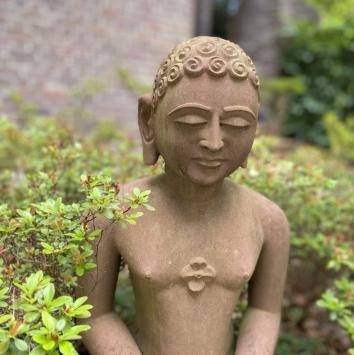 face gezicht jain statue beeld