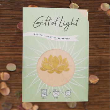 Gift of Light | Lotus